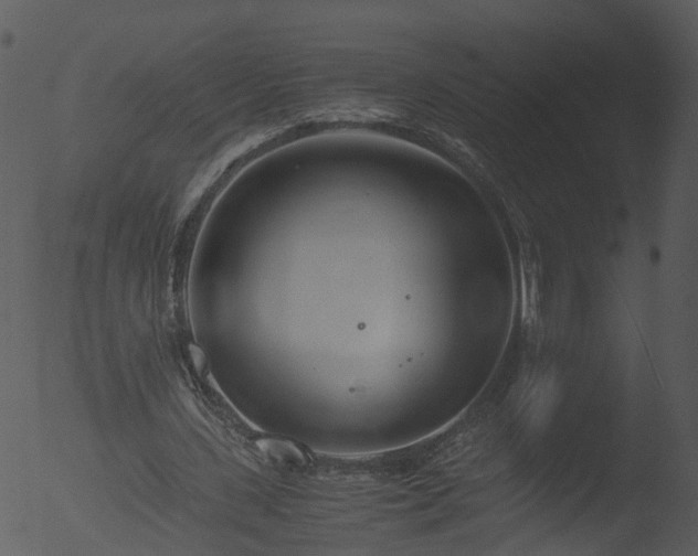 X0000053070531200507181628