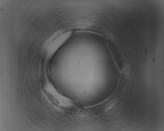 X0000053070532200507181628