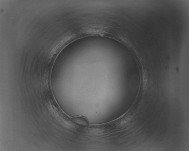 X0000053070533200507181628