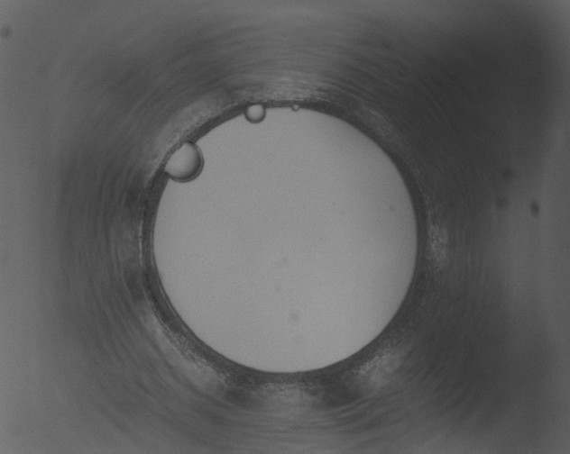 X0000053070534200507181628