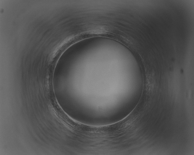 X0000053070535200507181628