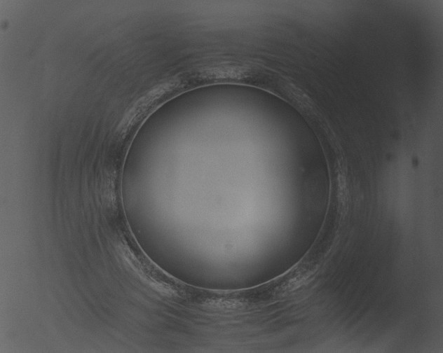 X0000053070537200507181629