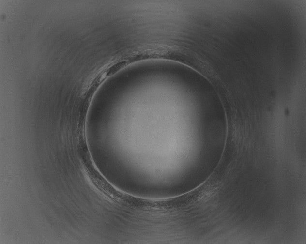 X0000053070538200507181629