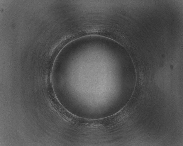 X0000053070539200507181629