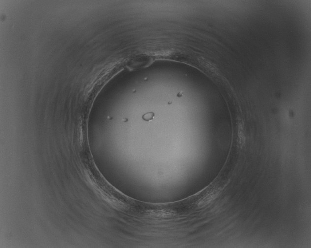 X0000053070541200507181629