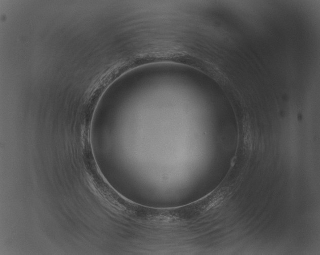 X0000053070542200507181629