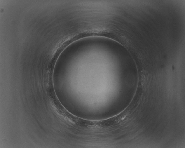 X0000053070544200507181629