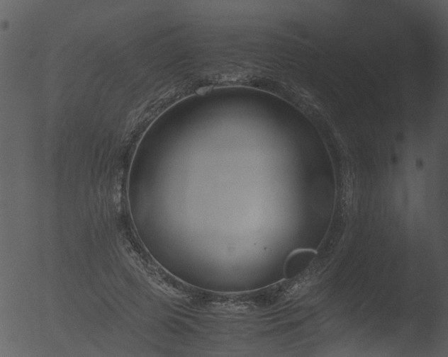 X0000053070545200507181629