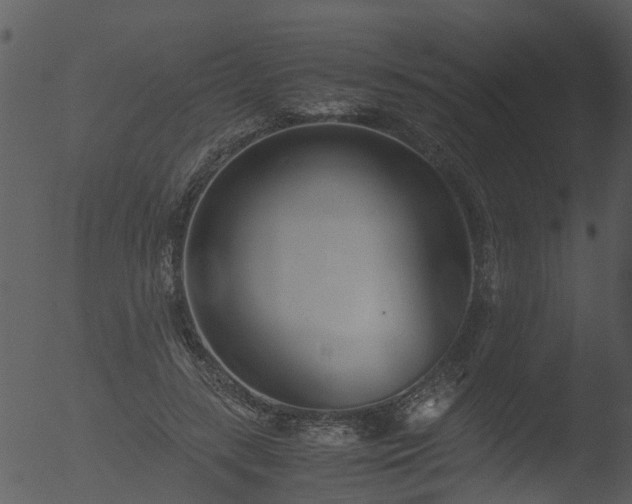 X0000053070547200507181629