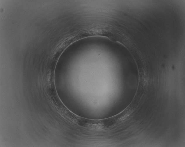 X0000053070548200507181629