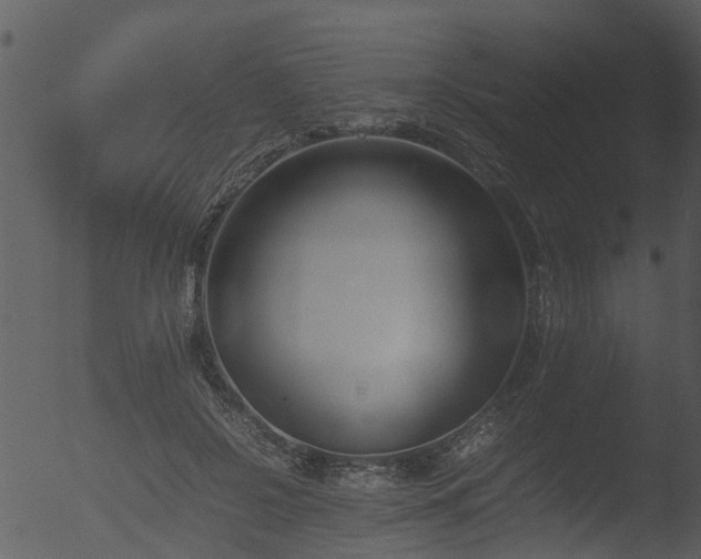 X0000053070550200507181629