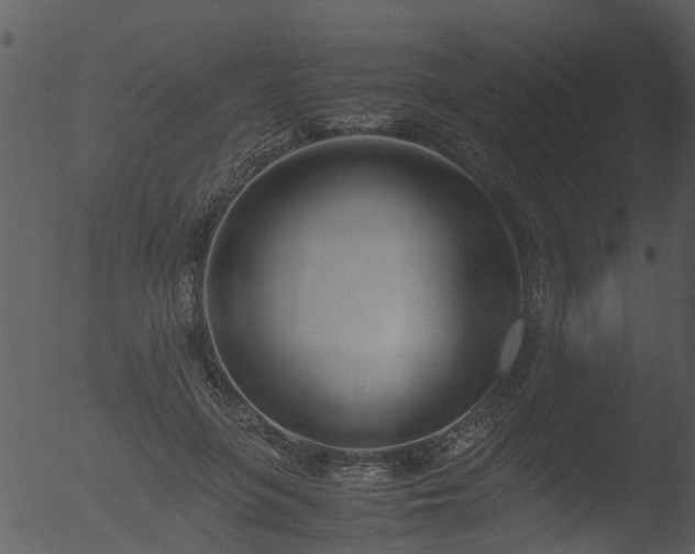 X0000053070551200507181629