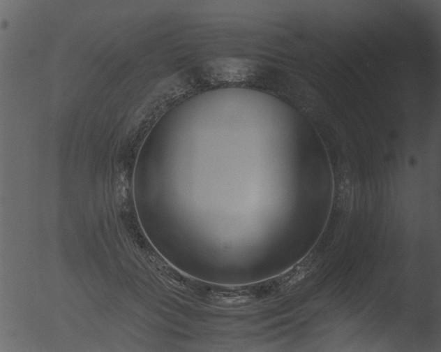 X0000053070555200507181629