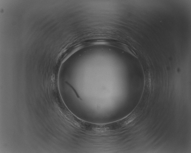 X0000053070556200507181629