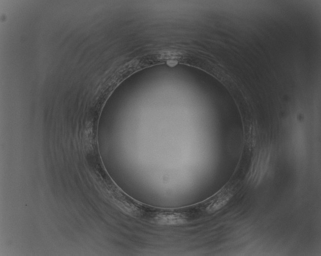 X0000053070557200507181629