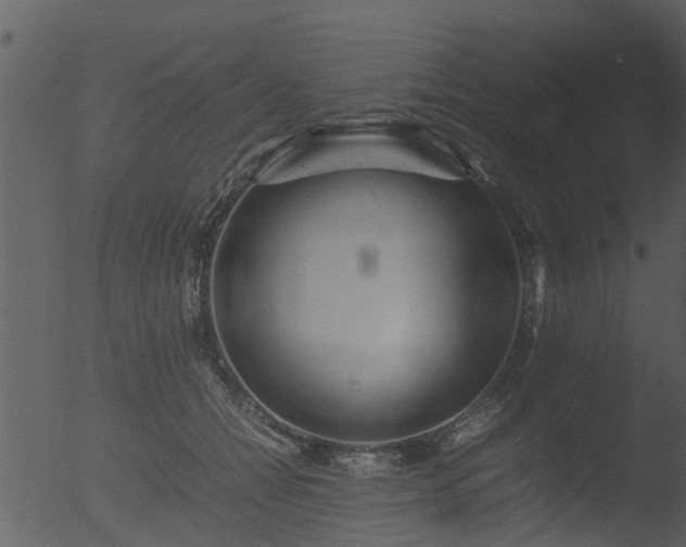 X0000053070558200507181629