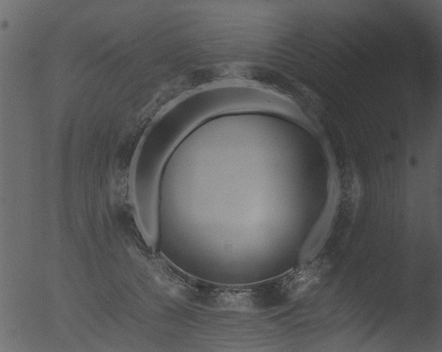 X0000053070560200507181629