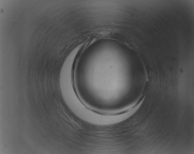 X0000053070562200507181629