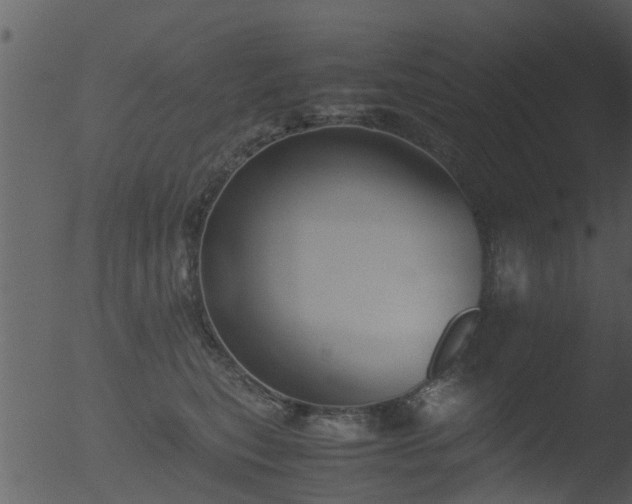 X0000053070567200507181629