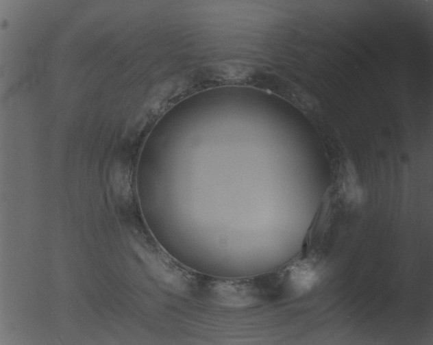 X0000053070568200507181629