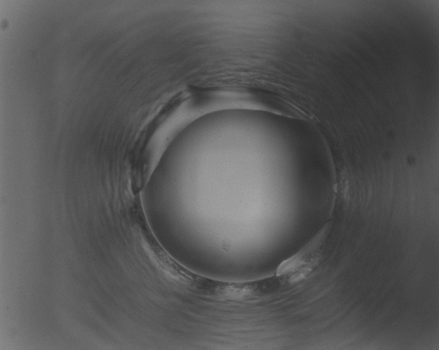 X0000053070570200507181629