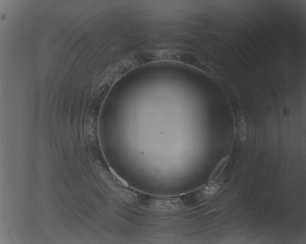 X0000053070571200507181629