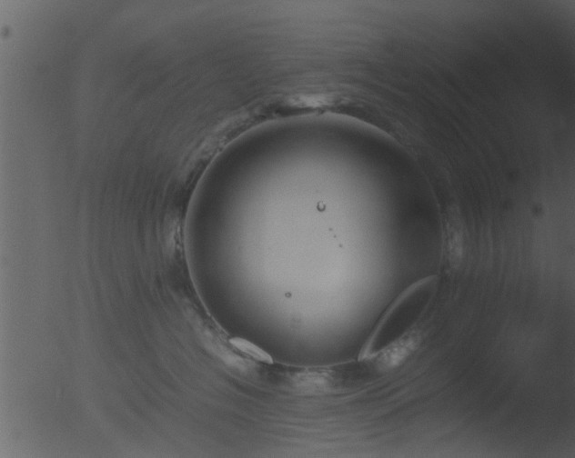 X0000053070574200507181629