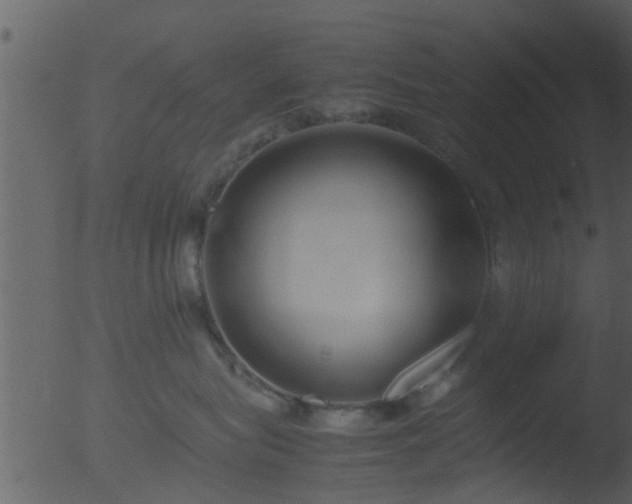 X0000053070575200507181629