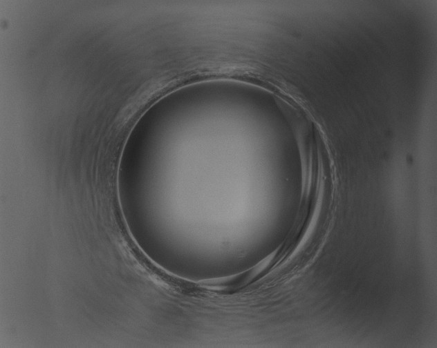 X0000053070577200507181628