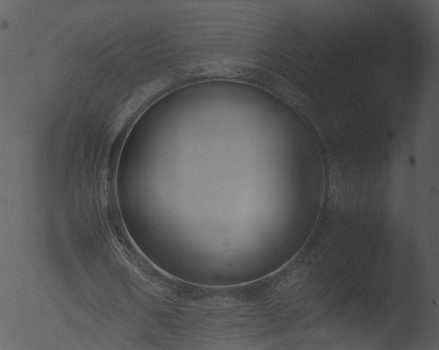 X0000053070578200507181628