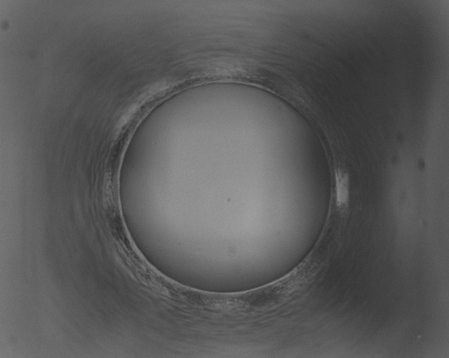 X0000053070579200507181628