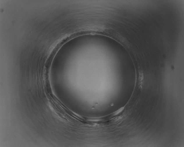 X0000053070580200507181628