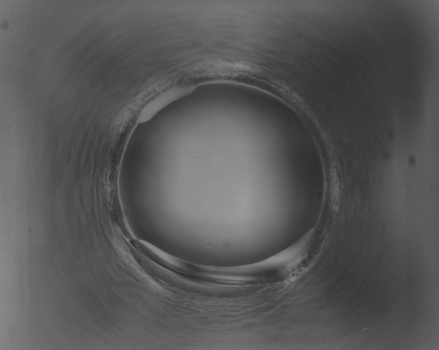 X0000053070581200507181628