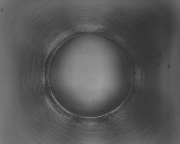 X0000053070582200507181628