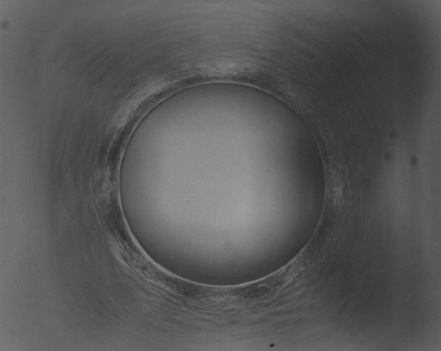 X0000053070583200507181628