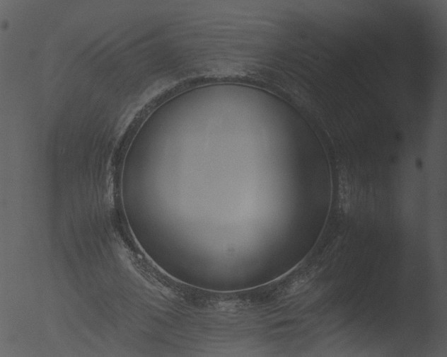 X0000053070584200507181628