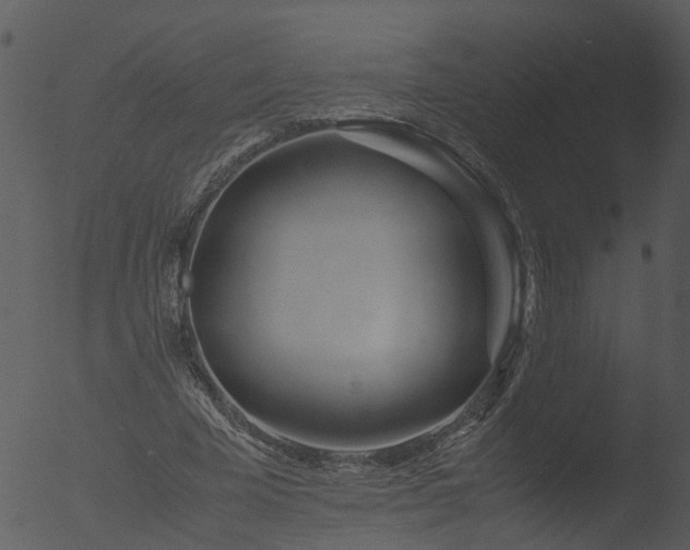 X0000053070585200507181628