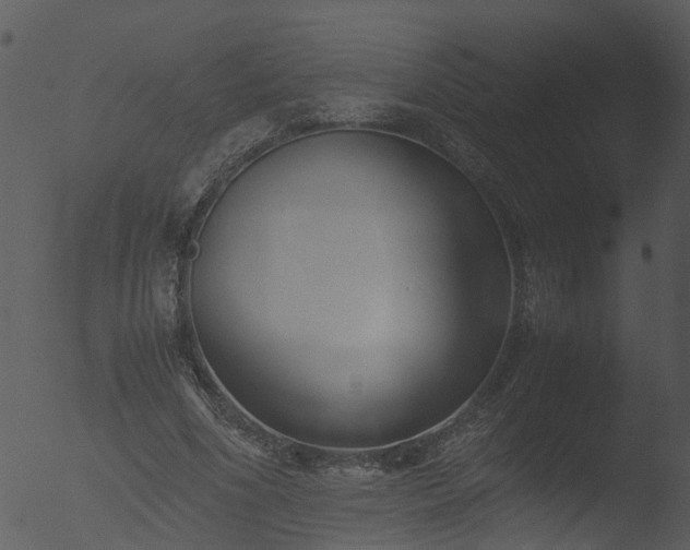 X0000053070586200507181628