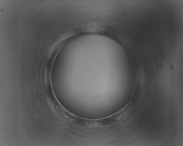 X0000053070587200507181628