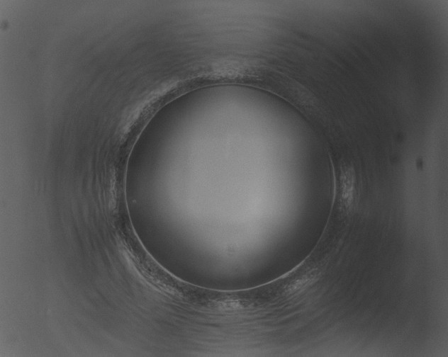 X0000053070588200507181628