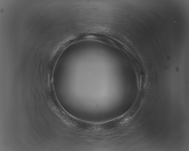 X0000053070589200507181628