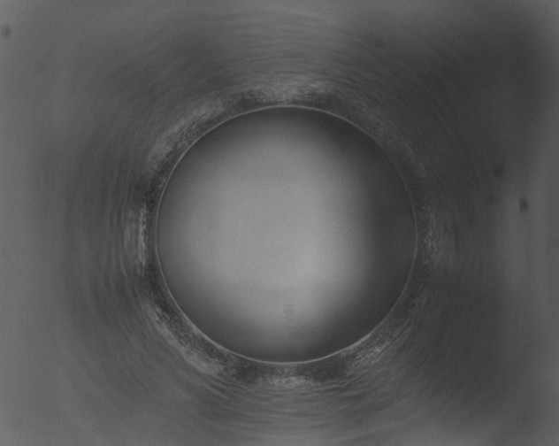 X0000053070590200507181628