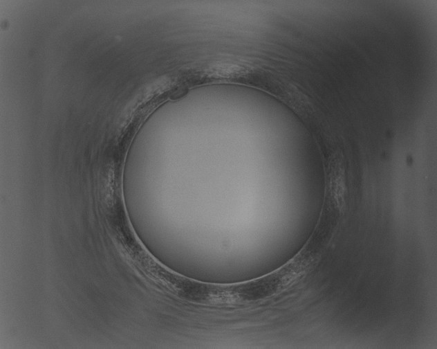 X0000053070591200507181628