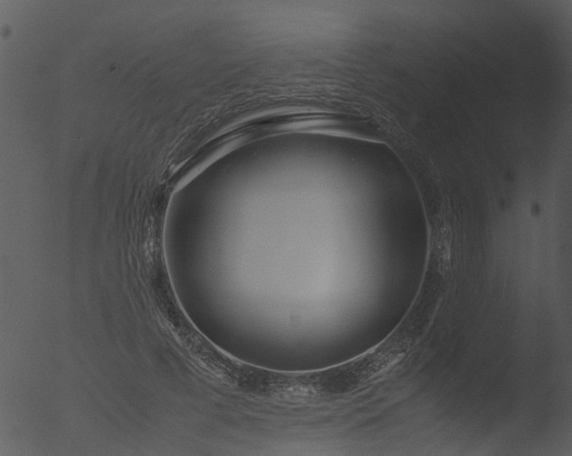 X0000053070593200507181628