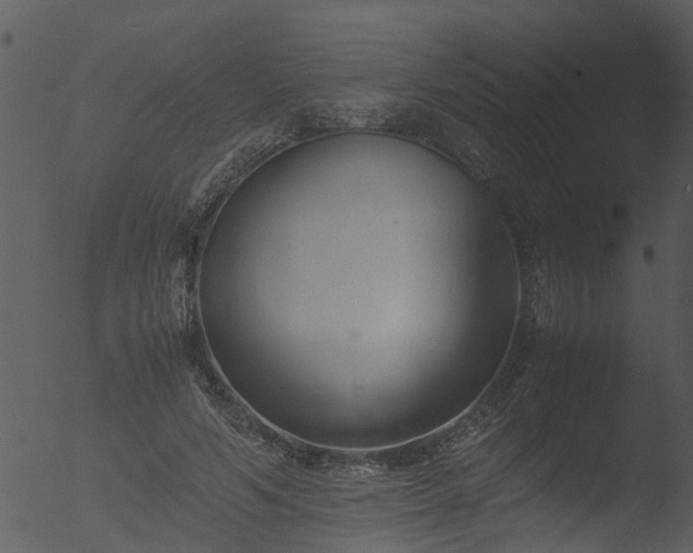 X0000053070594200507181628