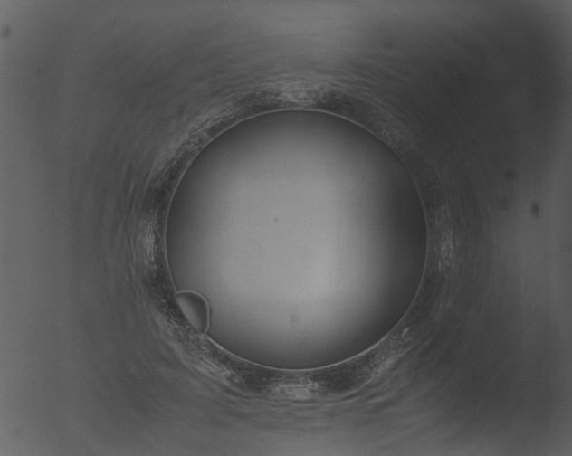 X0000053070595200507181628