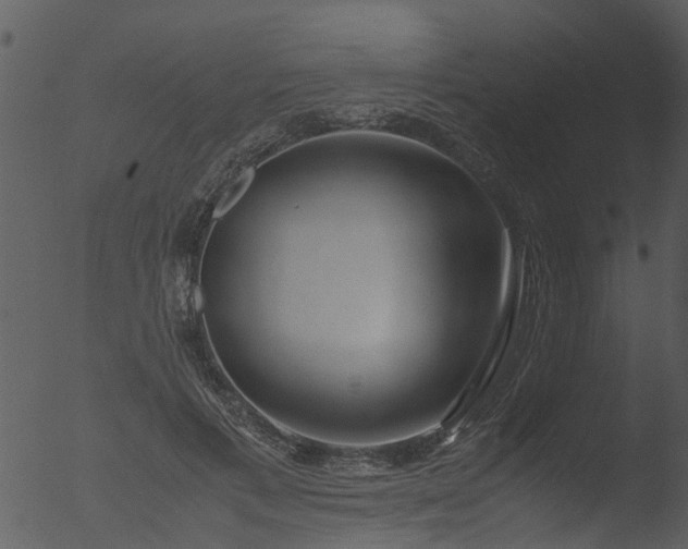 X0000053070597200507181628