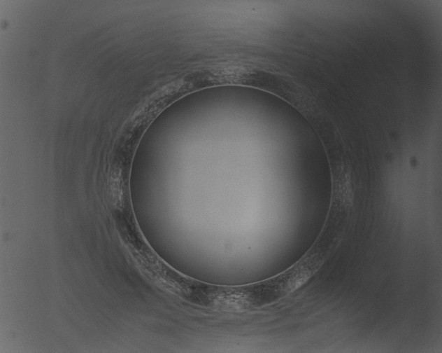 X0000053070599200507181628