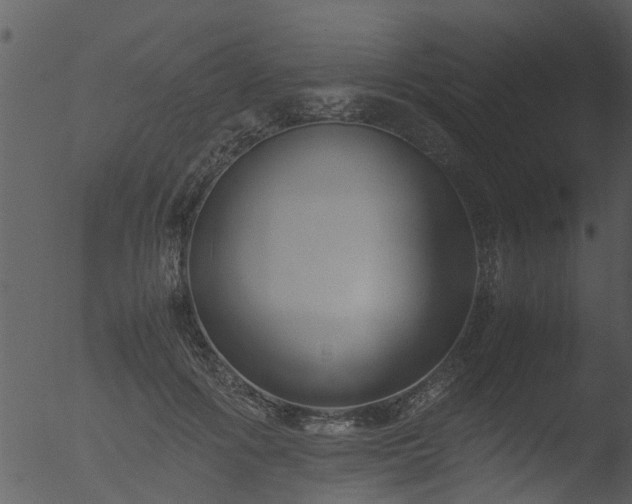 X0000053070602200507181628