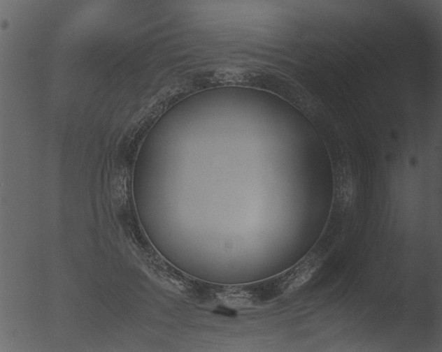 X0000053070603200507181628